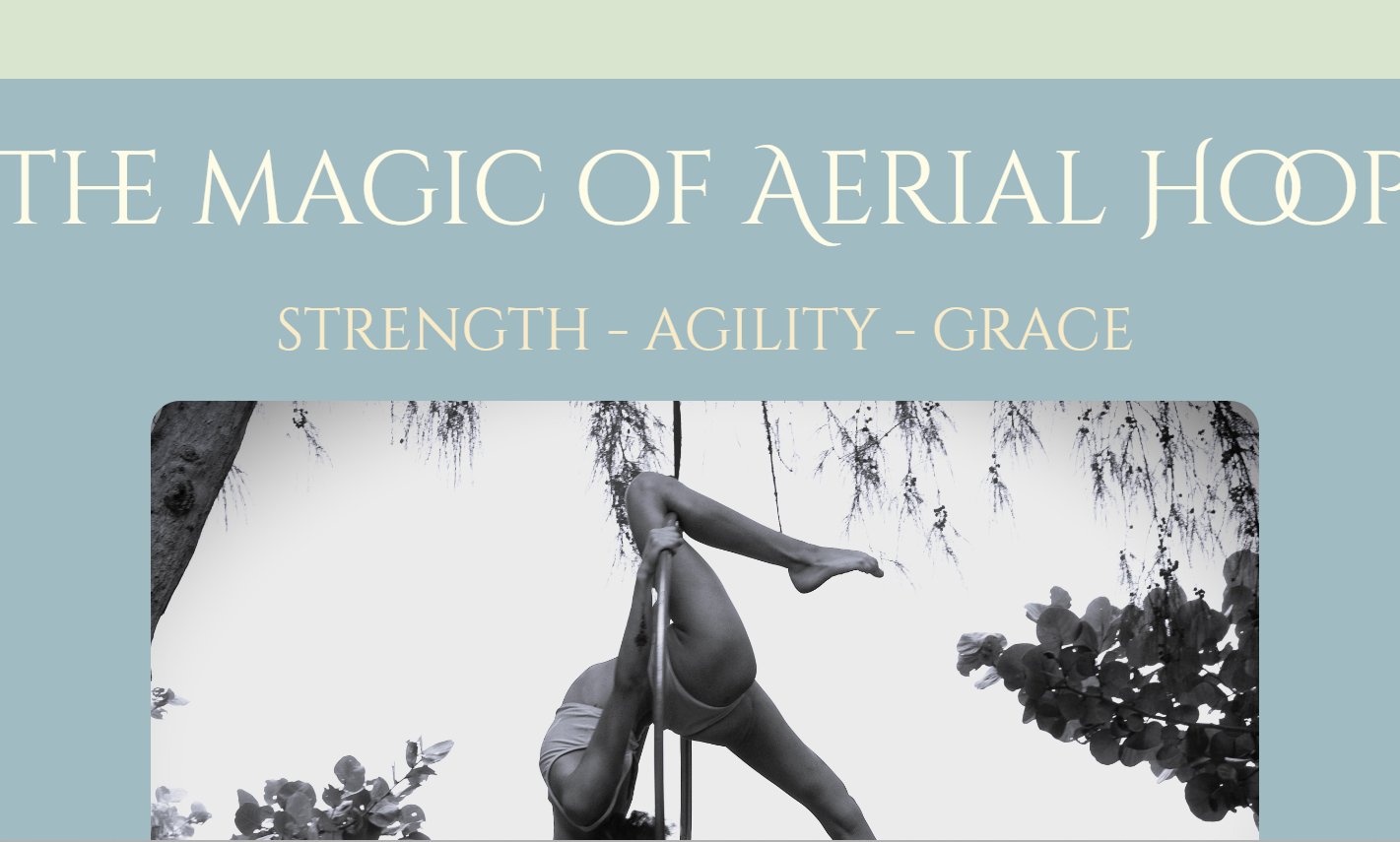 Aerial Hoop website preview